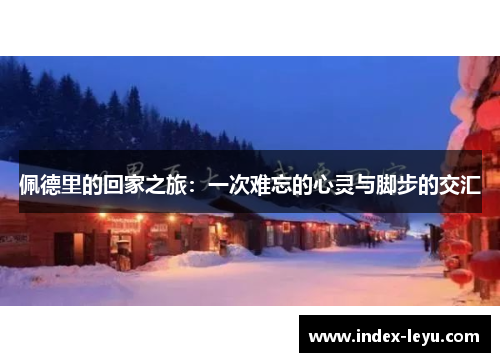 佩德里的回家之旅：一次难忘的心灵与脚步的交汇