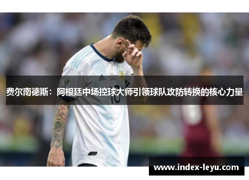 费尔南德斯：阿根廷中场控球大师引领球队攻防转换的核心力量
